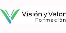Cursos de Vision y Valor Consulting